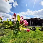 Sund Ostfriesland Lejlighed *