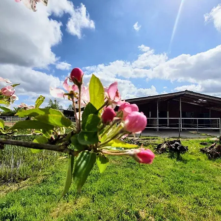 Sund Ostfriesland Apartmán *
