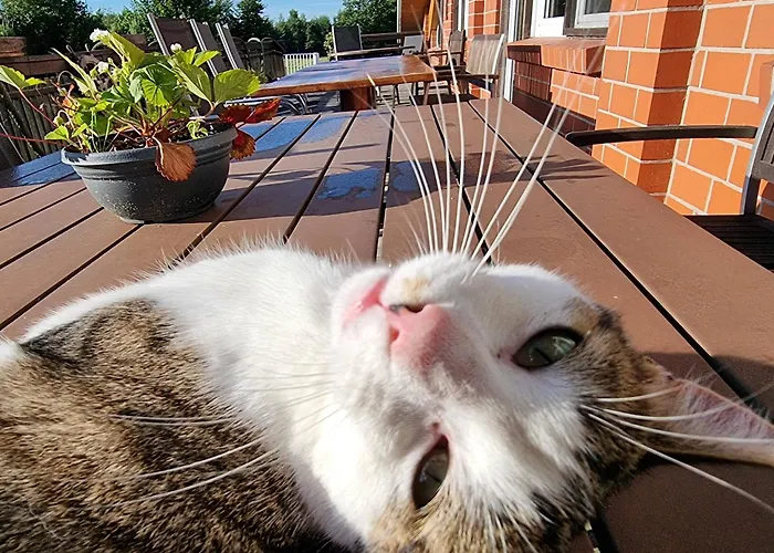 Appartement Sund Ostfriesland Grossefehn