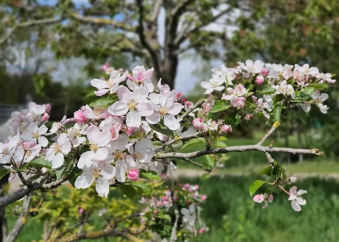 Sund Ostfriesland Appartement Grossefehn