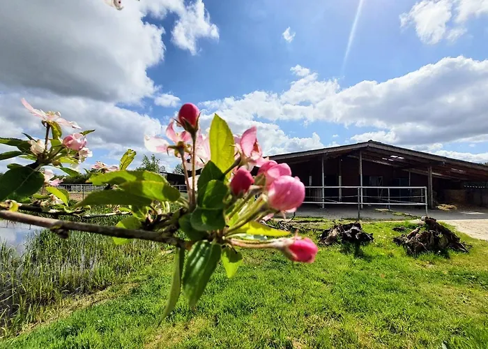 Sund Ostfriesland Appartement *